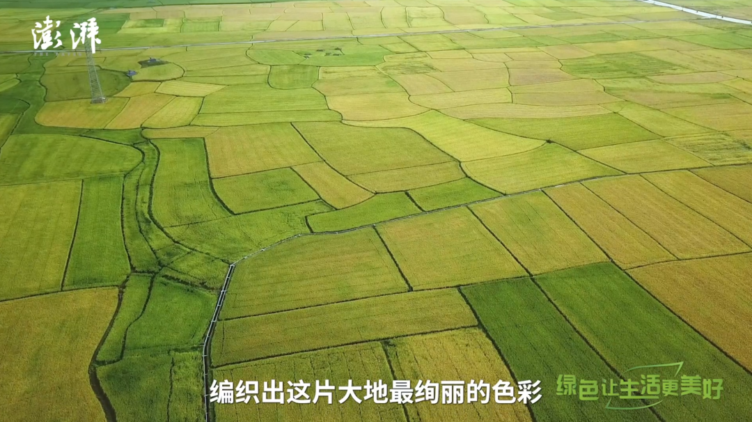 邮储银行联合澎湃新闻推出大型乡村振兴专题报道《色彩中国》