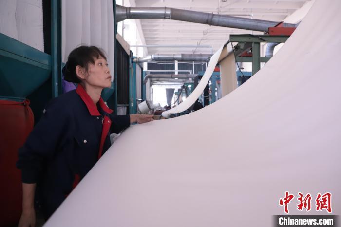 清河县一羊绒生产企业，工人正在查看羊绒面料。　宋红雷 摄