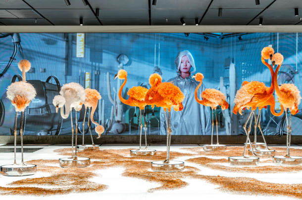 艺术装置《造物的造物》