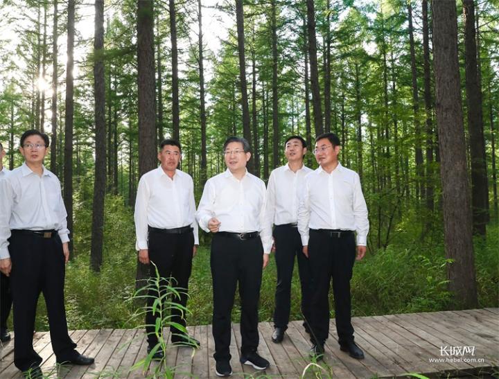 这是王东峰在塞罕坝机械林场尚海纪念林考察.