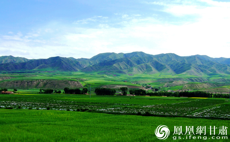 张掖祁连草原，水草丰茂。赵谦玺 摄