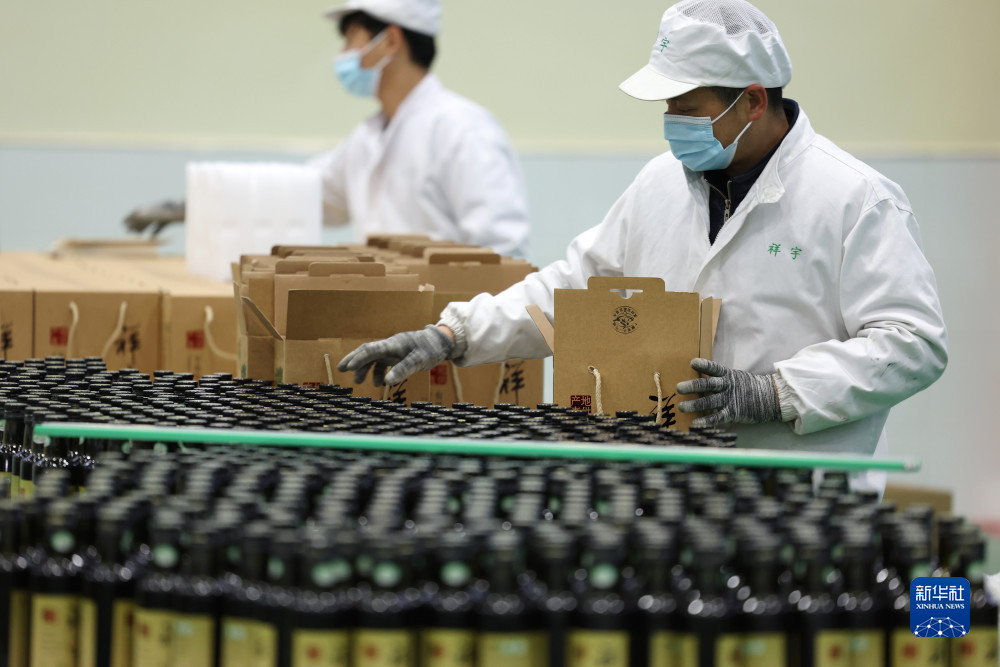 在陇南一家油橄榄加工企业的生产线上，工作人员对橄榄油进行包装（12月7日摄）。新华社记者 郎兵兵 摄