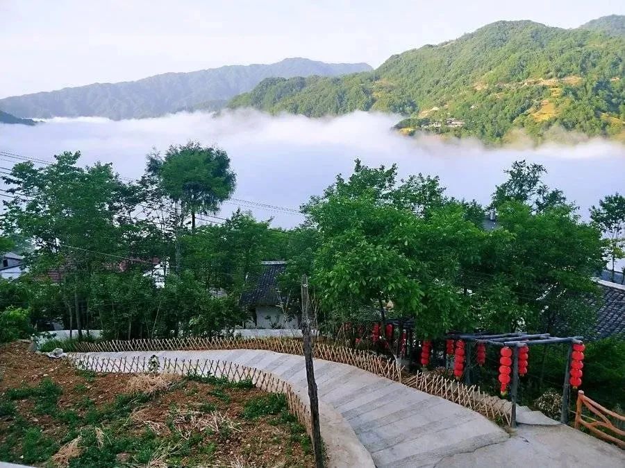 赞！赞！赞！甘肃6地获得国字号荣誉