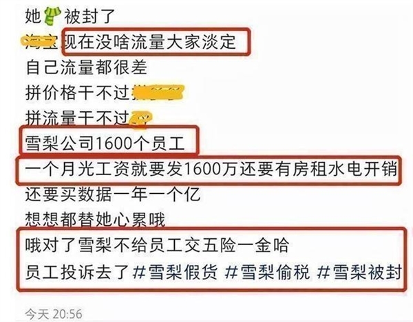 雪梨被曝不给员工交社保:网红雪梨林珊珊社交账号被封 短视频账号也自己可见