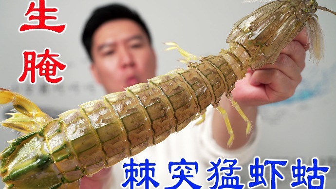 生腌特大棘突猛虾蛄，比手臂还粗还长，生腌界天花板