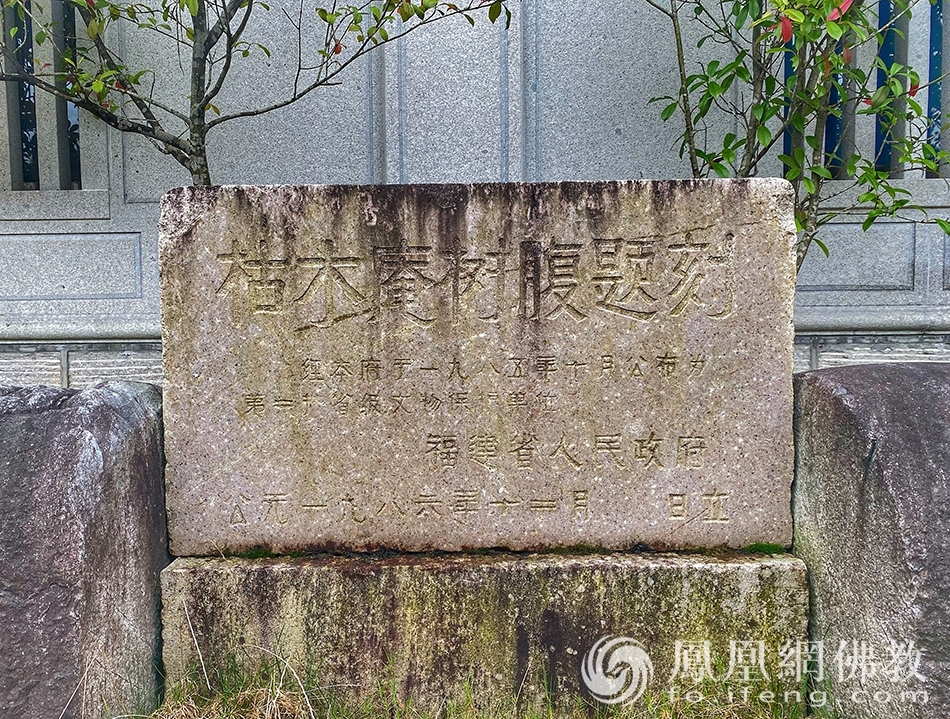 枯木庵树腹题刻碑（图片来源：凤凰网佛教 摄影：王子轩）