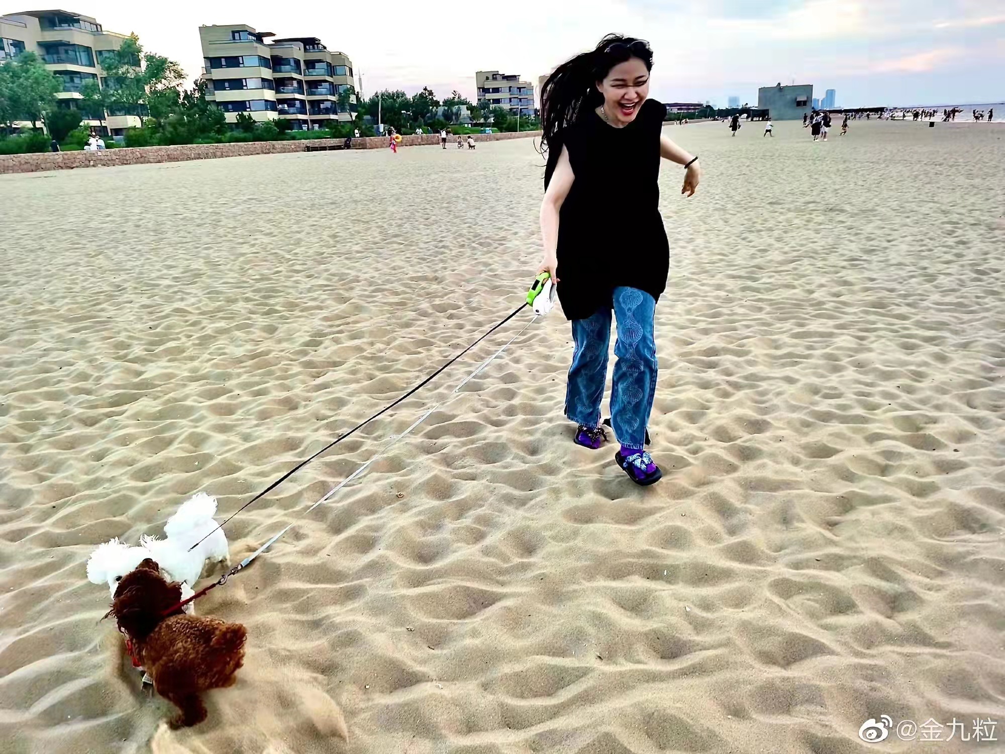 两只狗“朱尼尔”和“小白”是两家“最大的矛盾点”