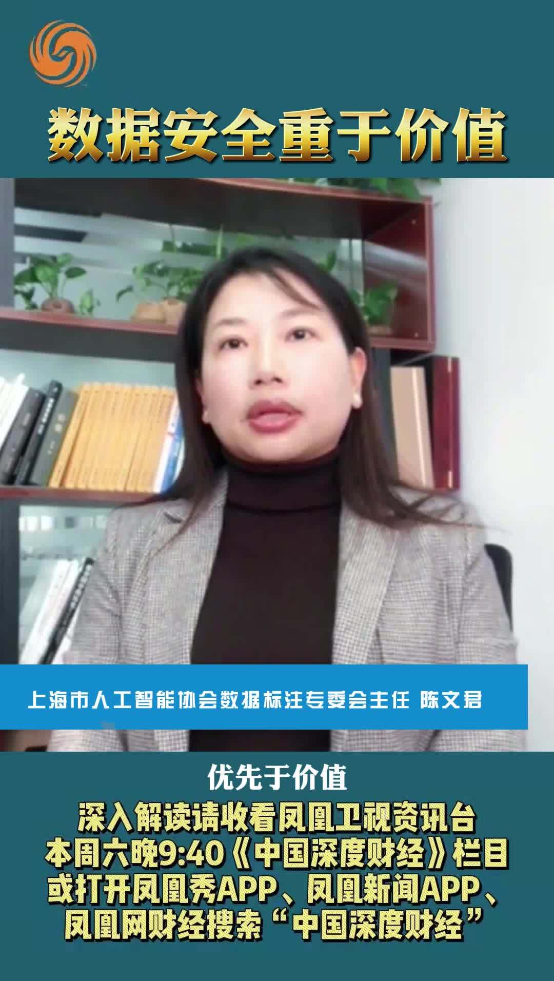 上海市人工智能协会数据标注专委会主任陈文君：数据安全重于价值