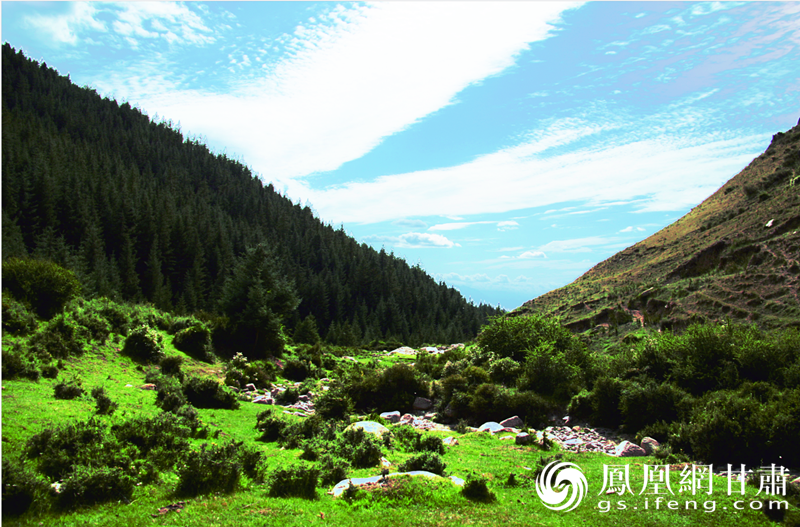 焉支盛景 王文扬 摄