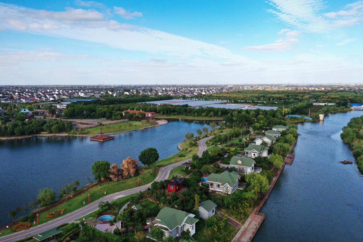 革命老区变爱乐之城泰州泰兴黄桥绘就全域旅游新画卷