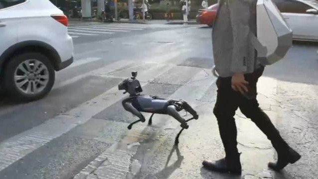 男子在街头遛机械狗 衣着时尚背科技感书包