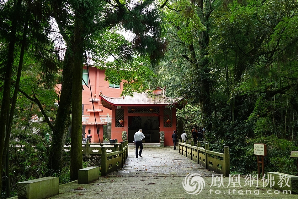 林木幽深，青翠葱郁。（图片来源：凤凰网佛教 摄影：王子轩）
