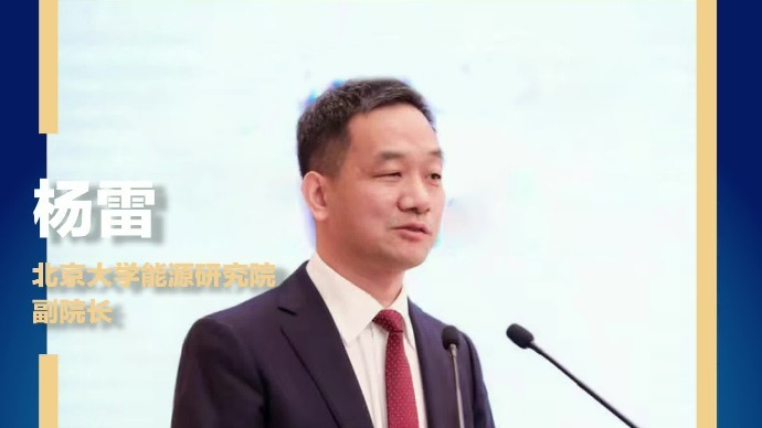 北京大学能源研究院副院长杨雷：2040年氢网络将和天然气网络一样强大