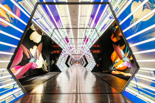 时光隧道与艺术橱窗