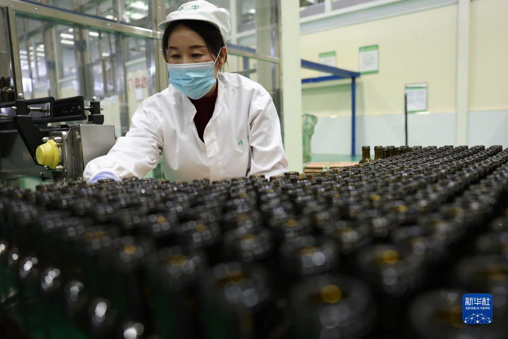 在陇南一家油橄榄加工企业的生产线上，工作人员尚秋云在整理用于灌装橄榄油的玻璃瓶（12月7日摄）。新华社记者 陈斌 摄