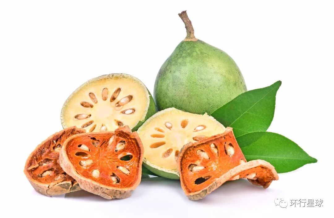 木橘（学名：Aegle marmelos）又名贝尔果、木苹果、贝儿果。 图：anat chant / Shutterstock