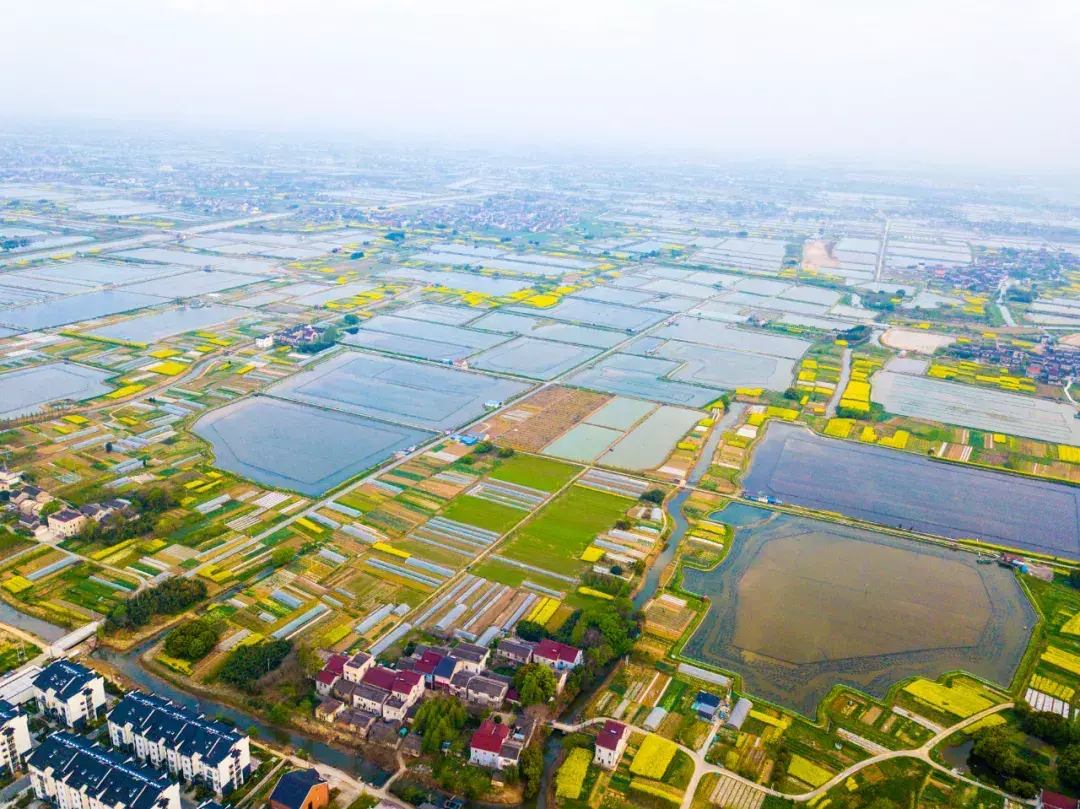 吴兴一公司入选国家级水产健康养殖和生态养殖示范区