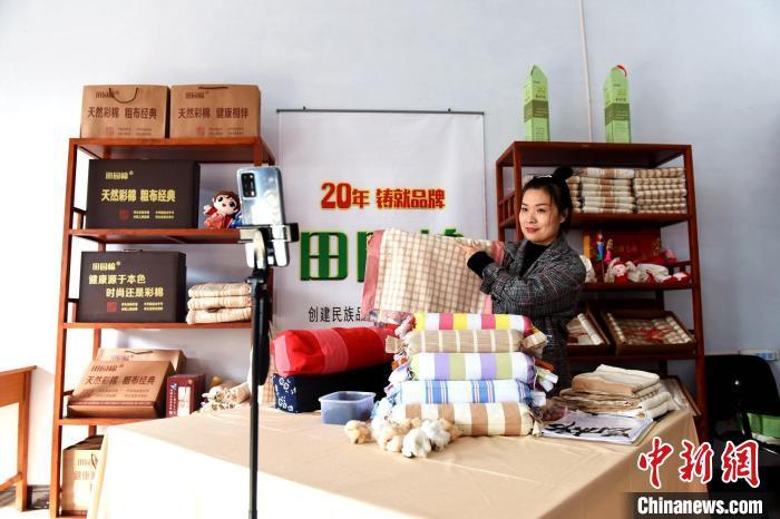 工作人员在河北省衡水市冀州区田园棉文化园彩棉展区对彩棉新产品进行现场直播。 辛培 摄