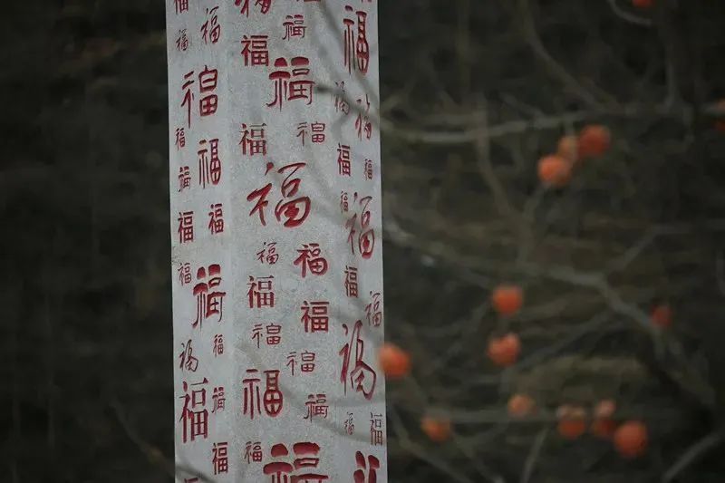 赞！赞！赞！甘肃6地获得国字号荣誉