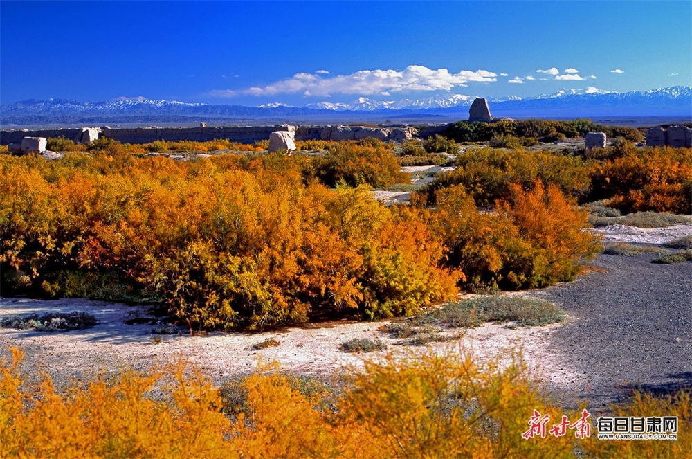锁阳城外城遗址
