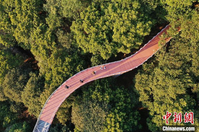 进入冬季的丫山，层林尽染，色彩斑斓，美不胜收，吸引游客参观游玩。　刘占昆 摄