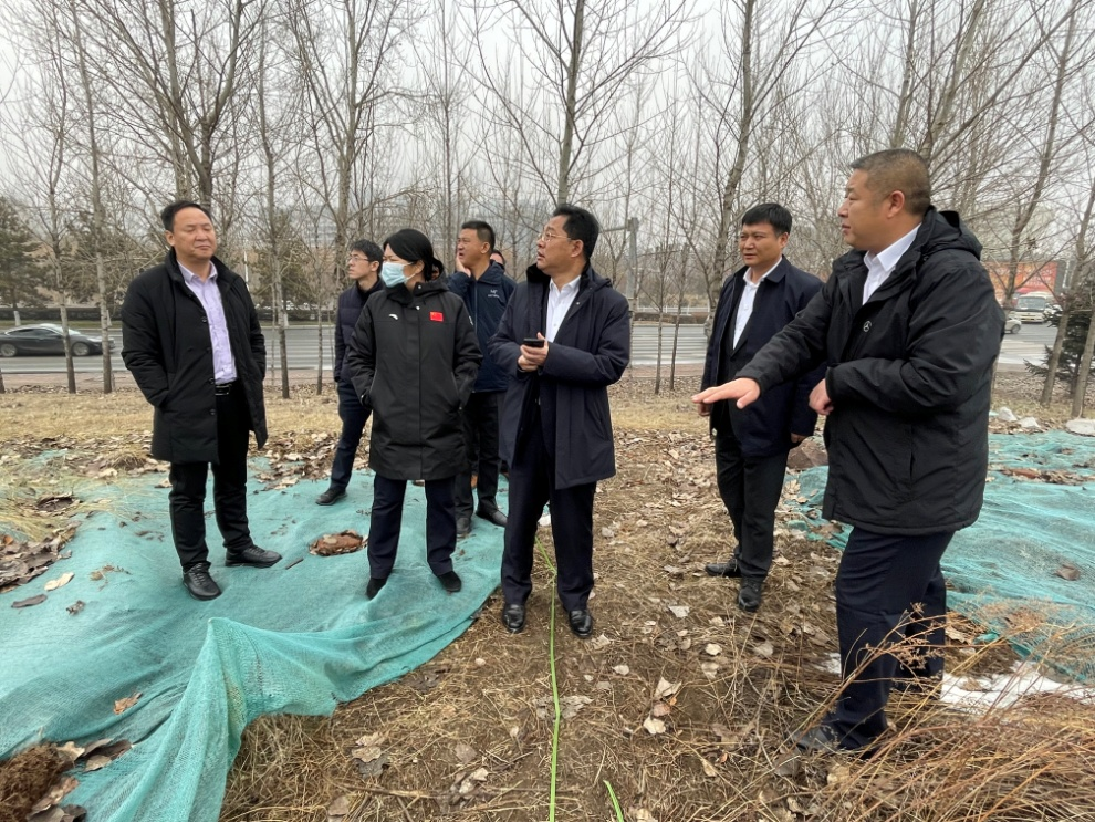 全程跟进 精准服务 长春市南关区委书记杨大勇加快推进华为吉林区域总部项目落位南关