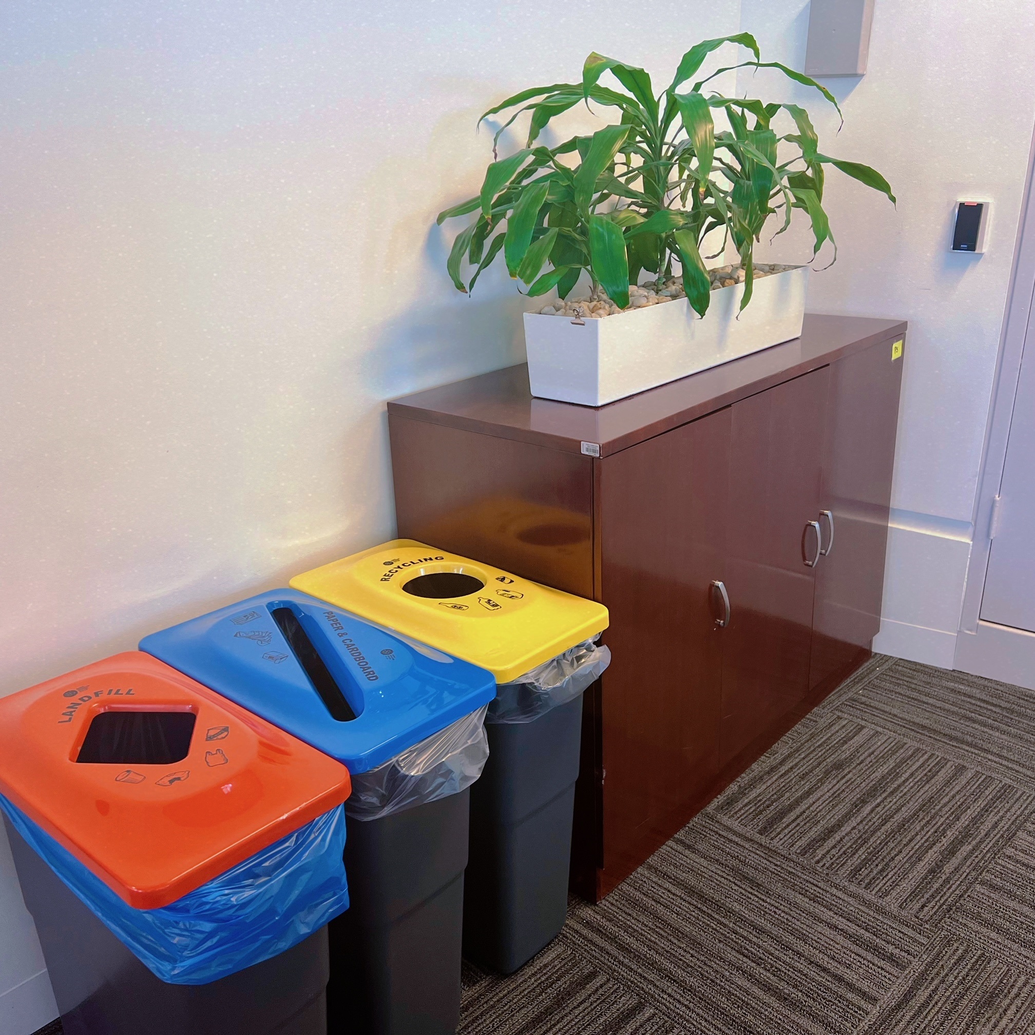悉尼分行垃圾分类绿色办公