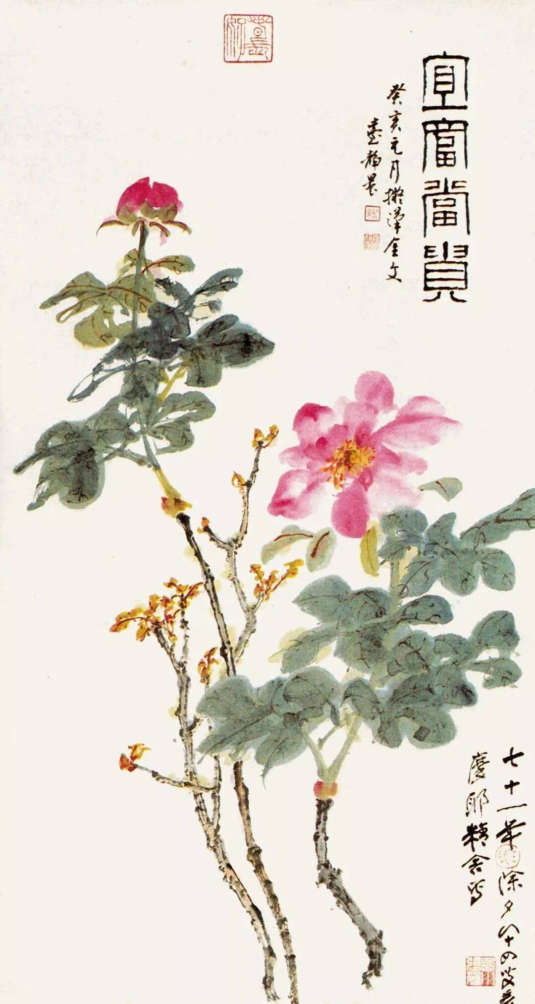 张大千花鸟画50幅