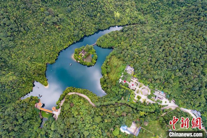 肇庆鼎湖山 广东省林业局 供图