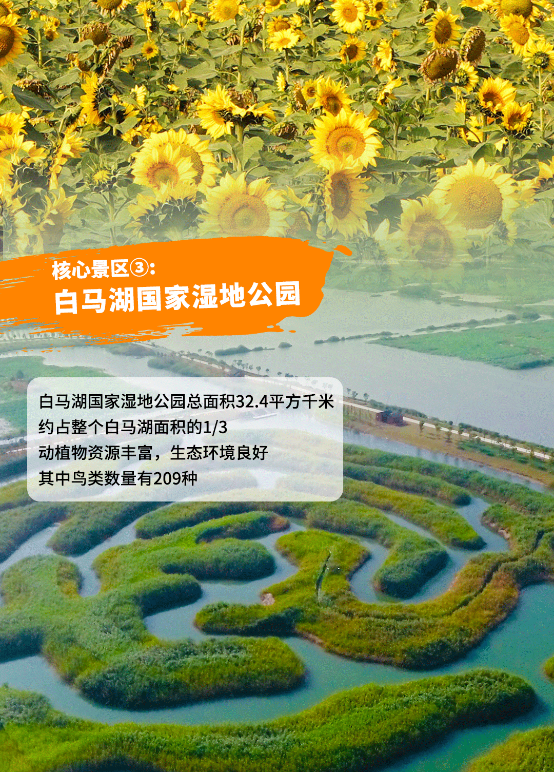 国家级湿地公园 双4a景区=白马湖旅游度假区