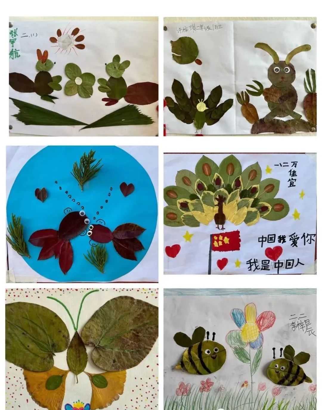 树叶有画说平度市仁兆小学开展特色作业展评活动