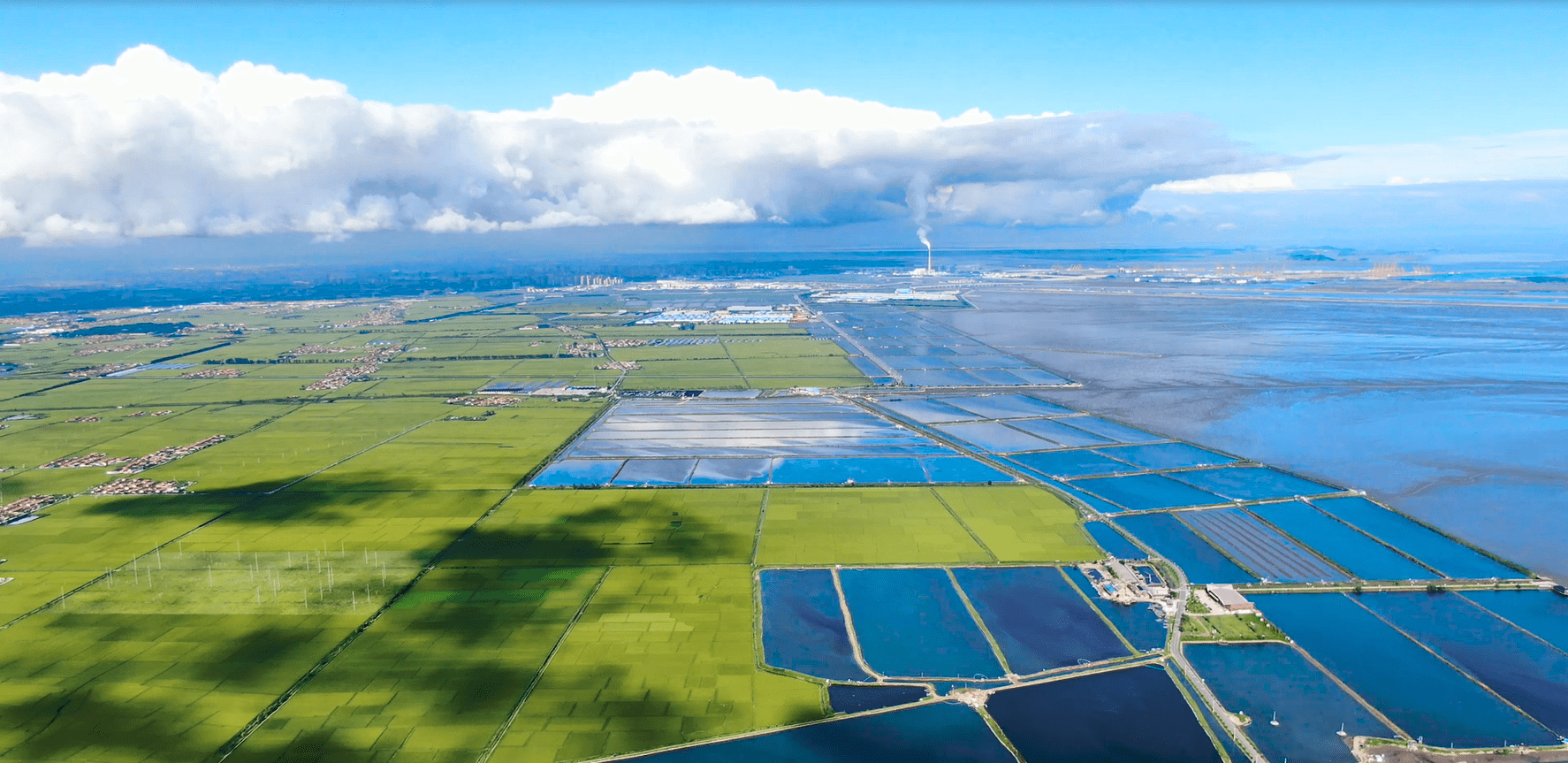 东港市五四农场集团有限公司喜获全国放心粮油示范企业称号