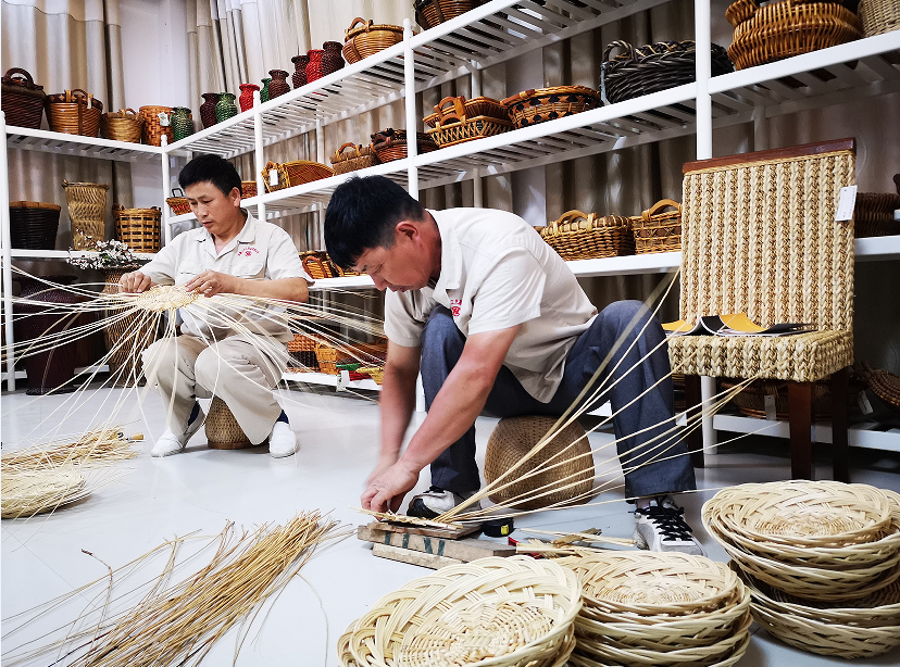 安徽阜南的她央视深情话杞柳