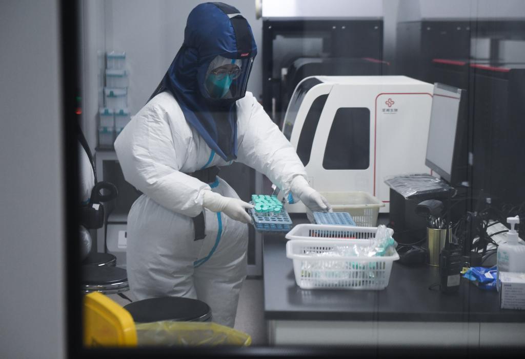12月12日，杭州市西溪医院检验科工作人员在实验室内进行核酸检测。 新华社记者 徐昱 摄