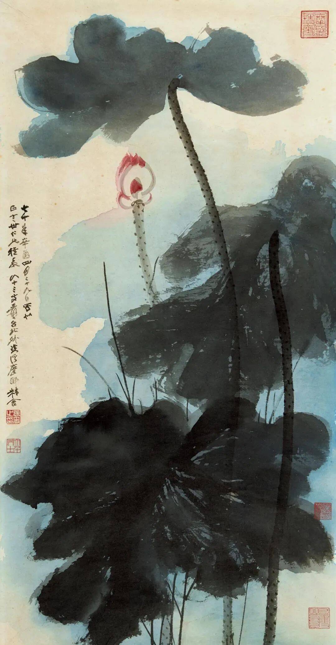 张大千花鸟画50幅