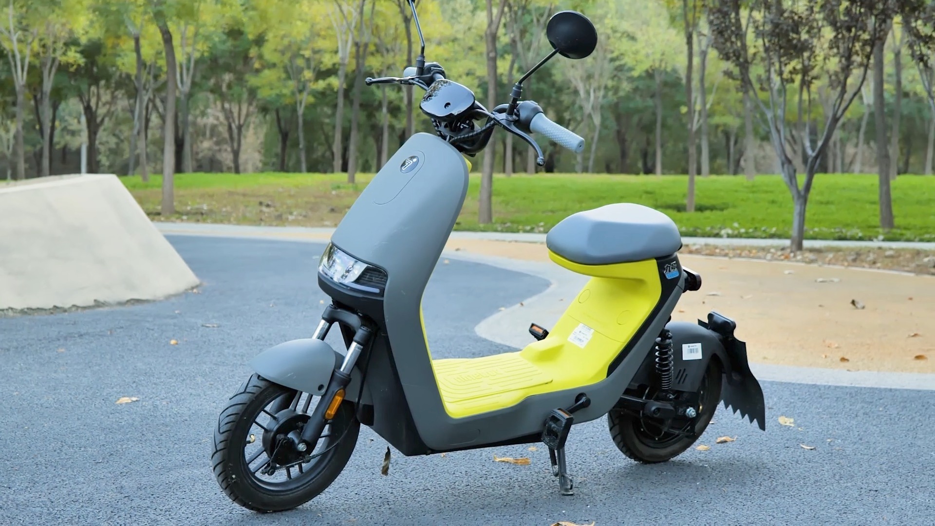 凰家评测2021年度好物九号电动a