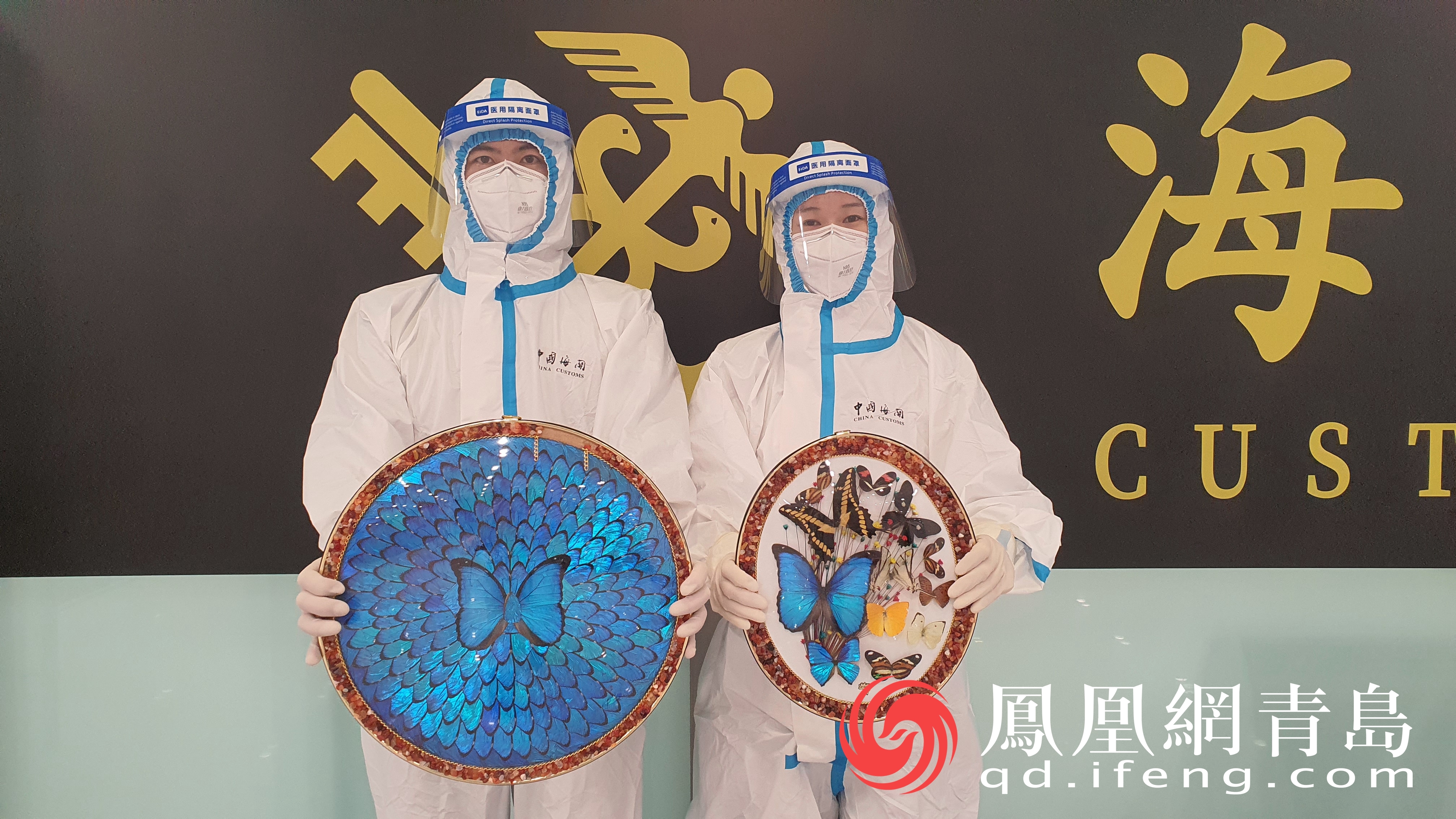 旅客未申报携带蝴蝶标本摆件入境被青岛胶东机场海关查获