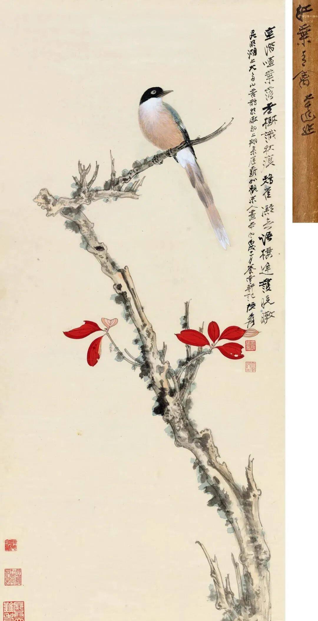 张大千花鸟画50幅