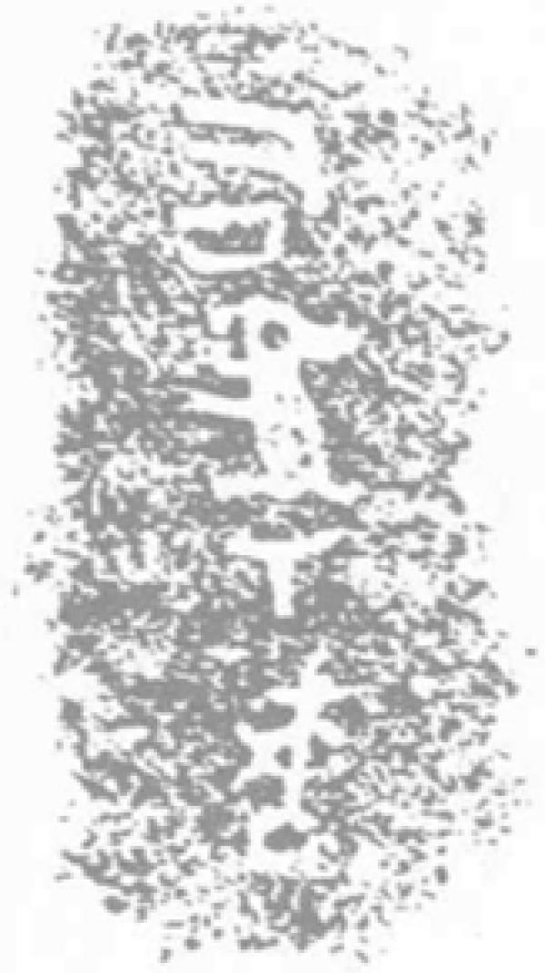 妇好墓青铜铭文拓片