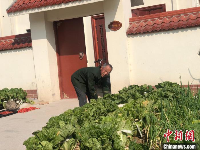 洼地变“高地”江苏宿迁牛角淹社区华丽蝶变