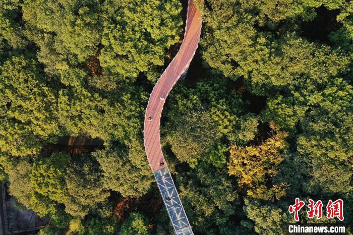 航拍江西大余丫山冬日风光层林尽染美不胜收