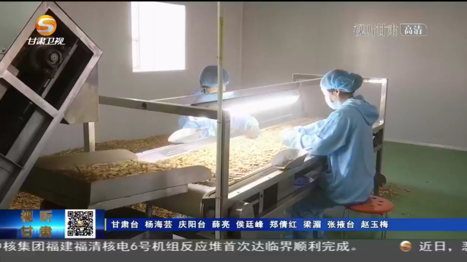 “地道陇药”招牌渐亮 近130个中药材标准已修订