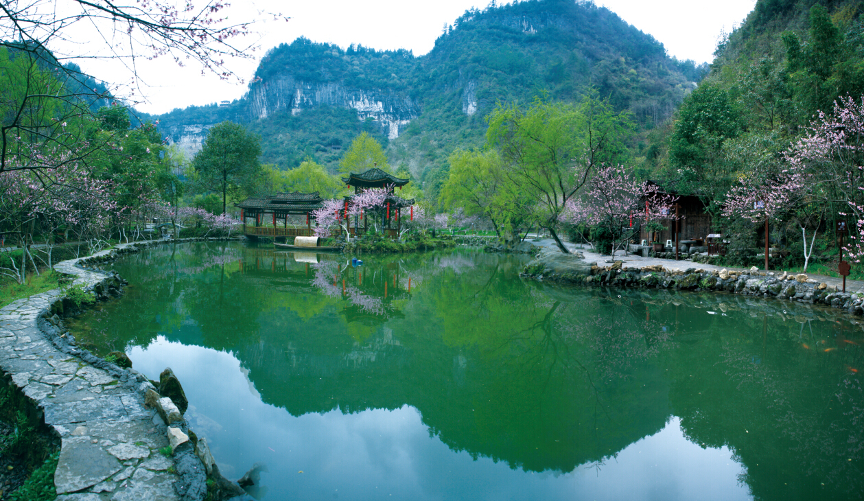 随后,随着酉阳全域桃花源战略实施,酉阳充分利用手上的三色资源,经济