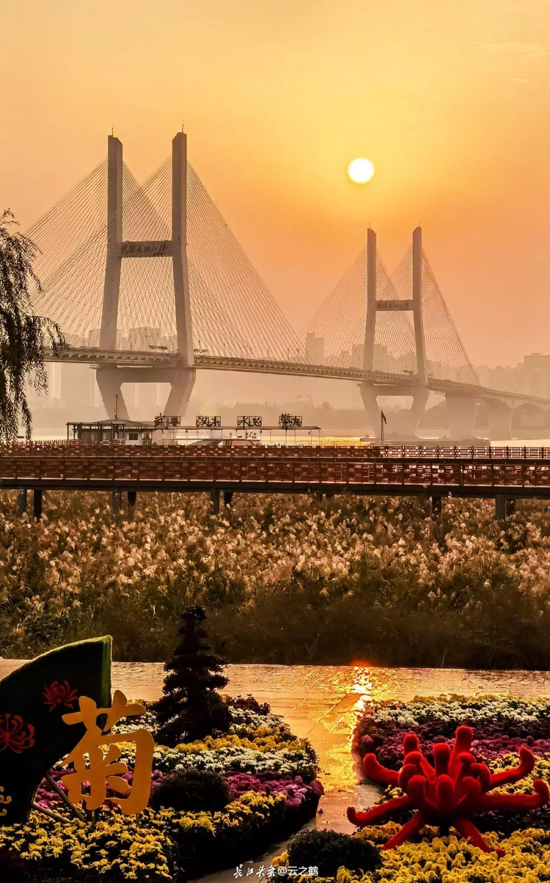 点击查看高清原图