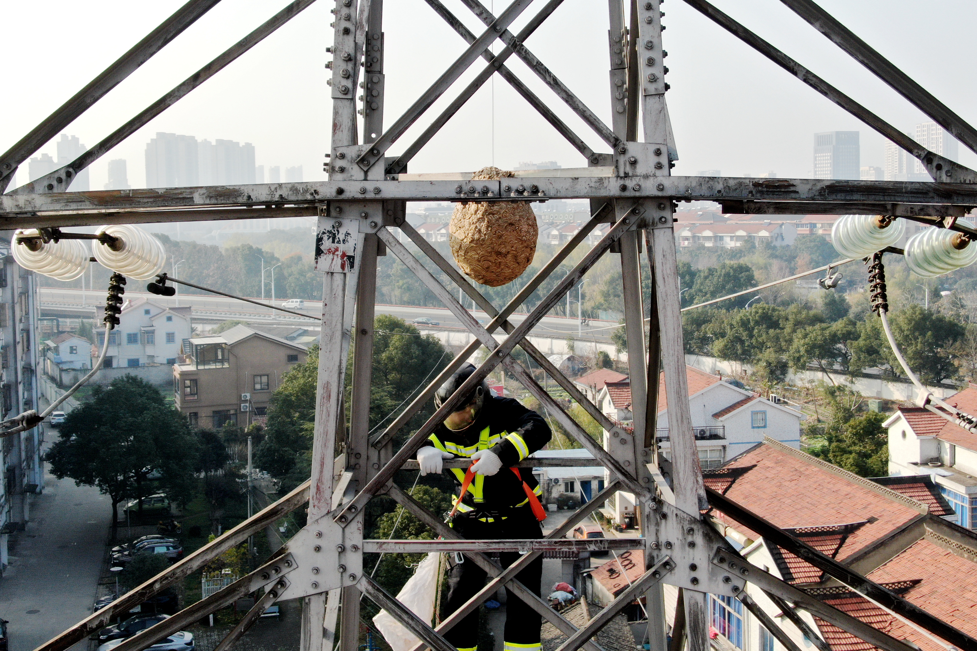 危险!铁塔“长”了马蜂窝,供电员工全副武装登塔摘除