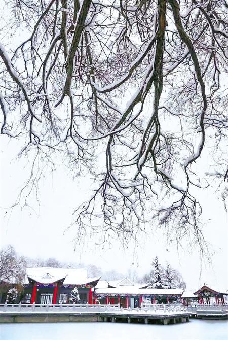 冬日的东湖公园