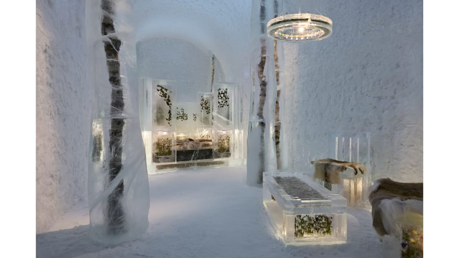王子亲自设计、用花卉与冰块建造 瑞典冰雪酒店上新主题套房