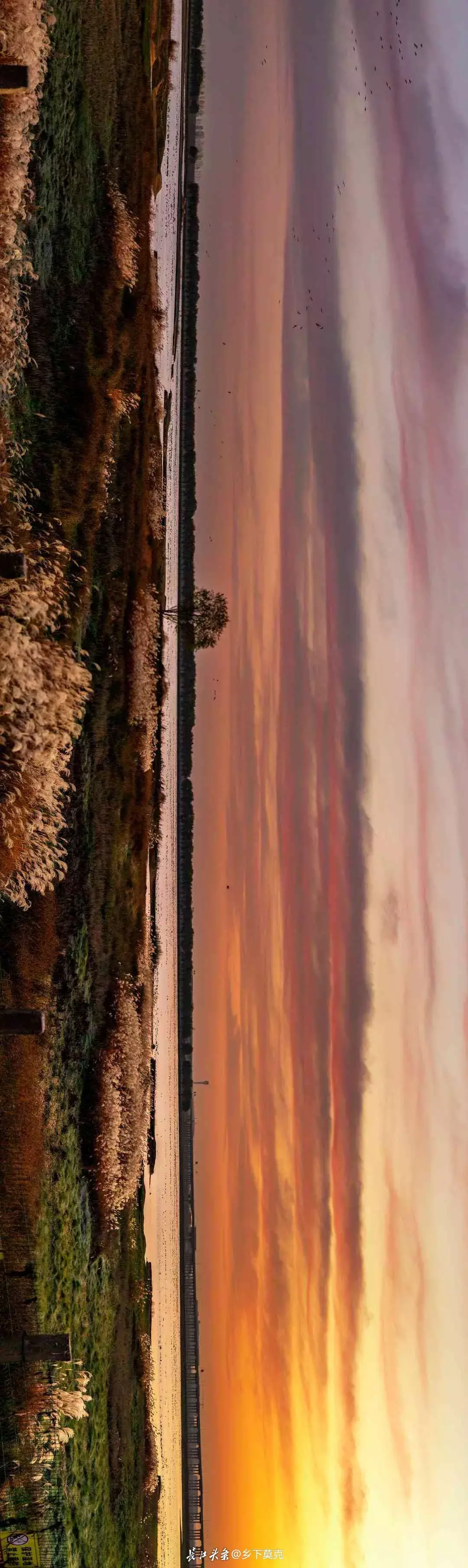 点击查看高清原图