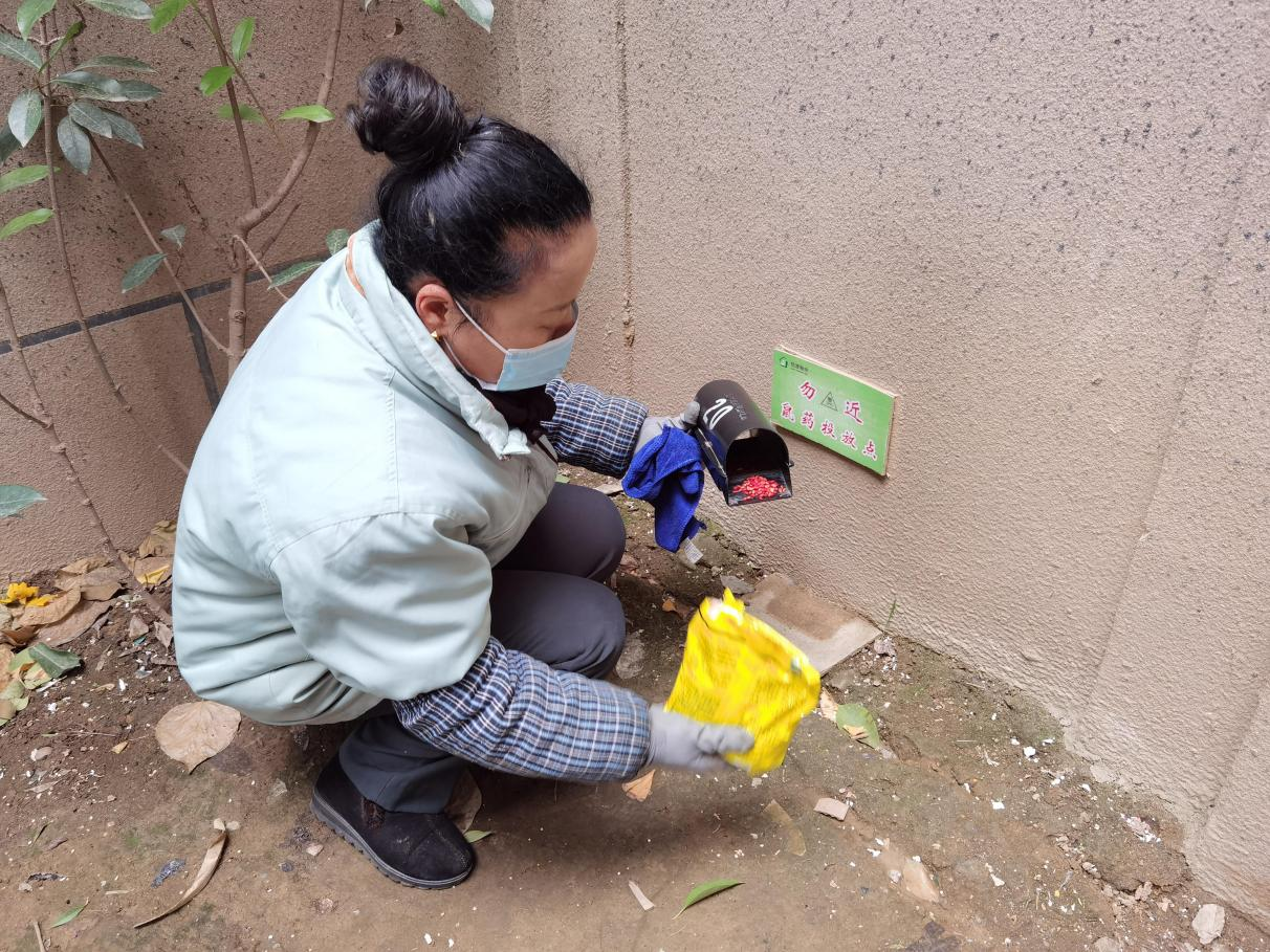 环境治理为主、药物消杀为辅