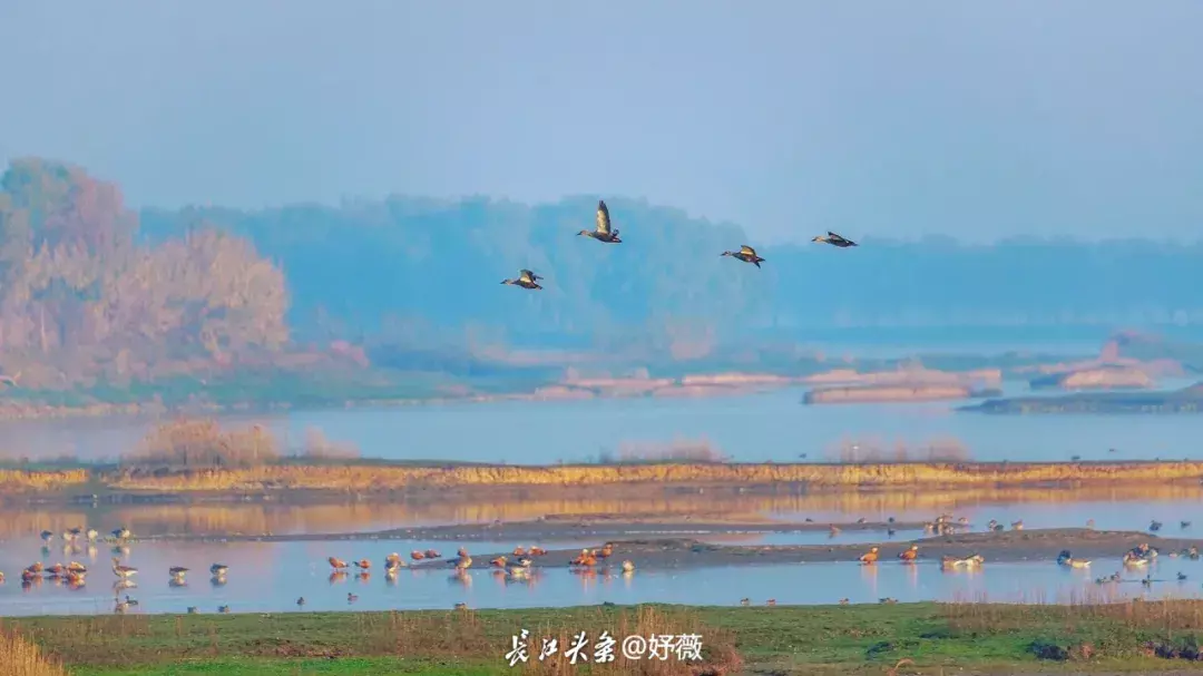 点击查看高清原图